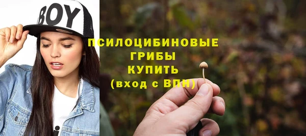 мескалин Горняк