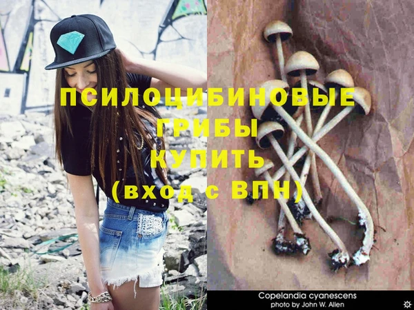 мескалин Горняк