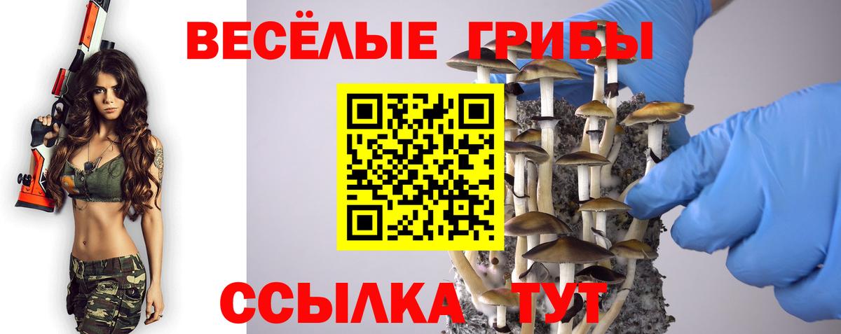 Псилоцибиновые грибы Psilocybine cubensis  закладки  Медногорск  Вход с VPN 